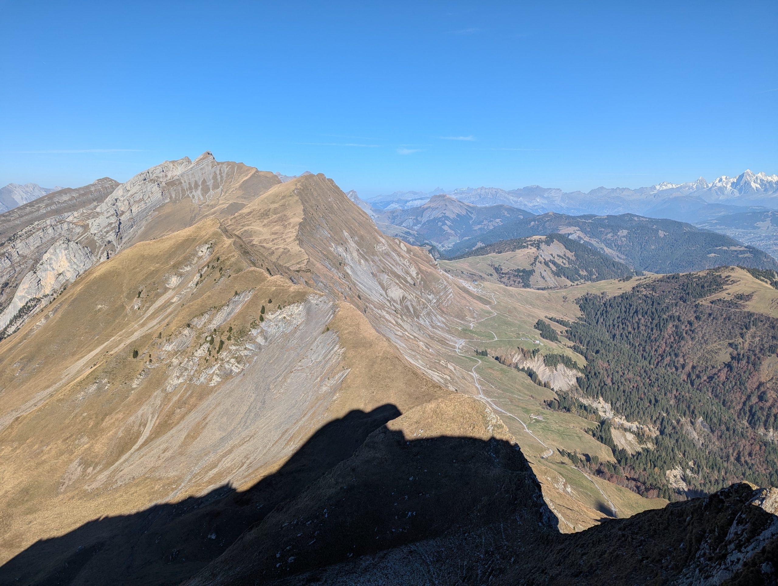 Les niveaux de difficultés